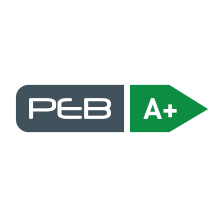 PEB A+