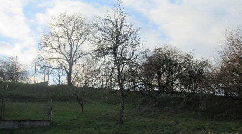 terrain Buzenol (5)